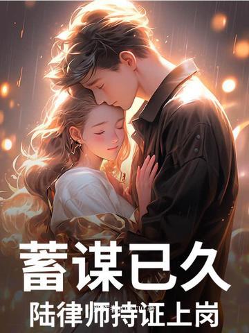 陆律师是谁