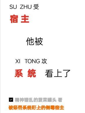 系统宿主被guan满的
