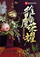 雏鹰的荣耀女主角