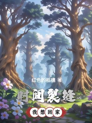 歌曲时间裂缝