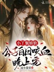 丫鬟公子古言
