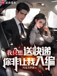 我只是个送快递的啊原文