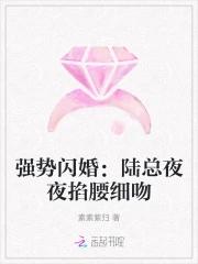 强势宠妻陆先生疼他入骨免费