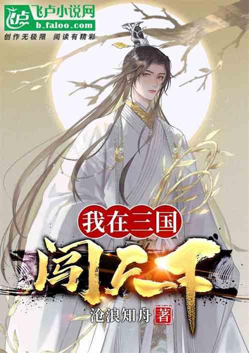 我在三国打网游