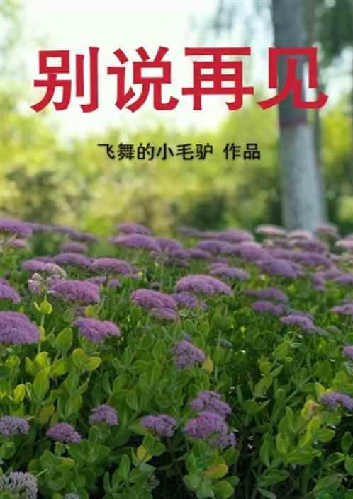 别说再见歌曲