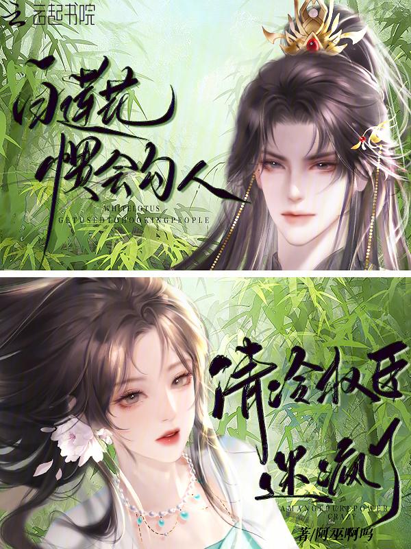 白莲花宠