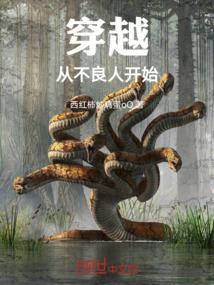 主角穿越到不良人