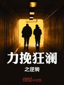 力挽狂澜书籍