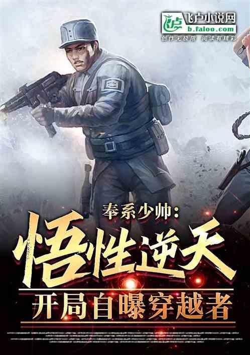 奉系江山无弹窗