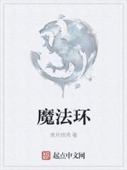 劫妻 作者黑颜