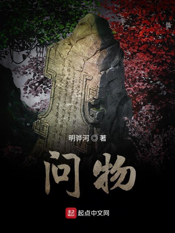 问物几何是什么意思