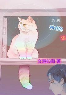 神奇小猫