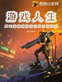 穿越到游戏人生剧场版的