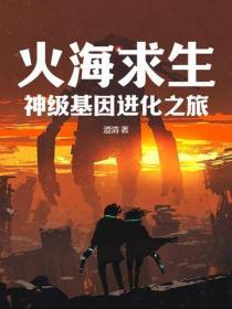 什么是火海征