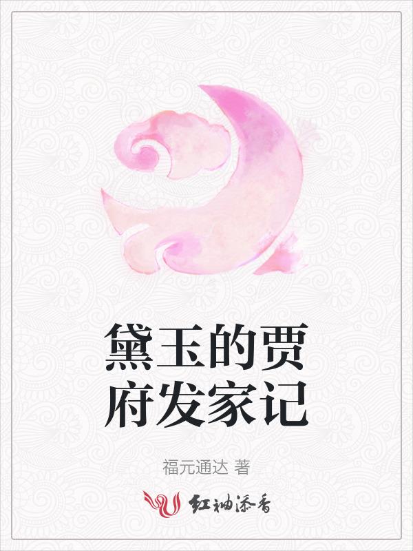 黛玉来贾府门前看到了什么情况