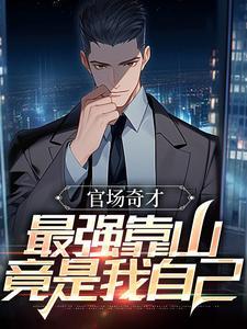 官场奇才最强靠山竟是我自己李霖全文