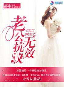 暖婚之老公抗议无效