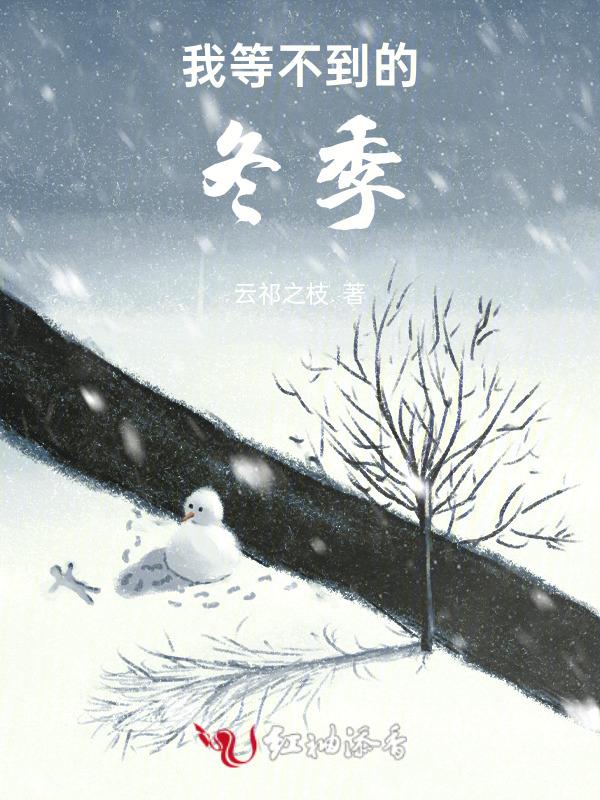 我等不到的他