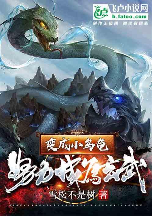 变成大乌龟