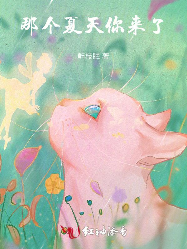 那年夏天你去哪了讲了什么
