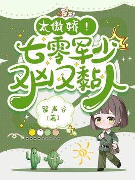七零娇宠小军嫂