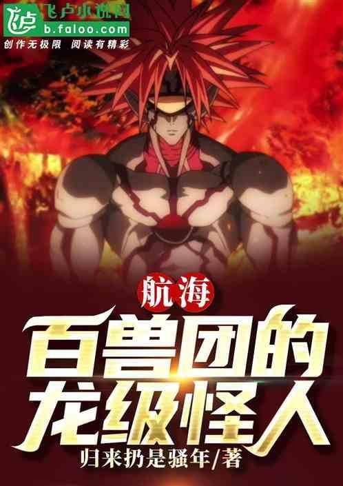 百兽海贼团number