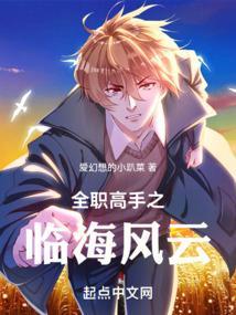 全职高手之呼啸