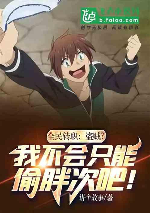 改造盗贼