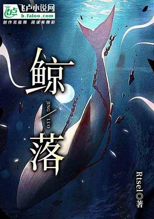 鲸落万物生歌词完整版
