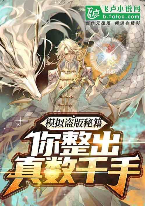 盗版怎么用mod
