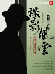 民国谍影电视剧
