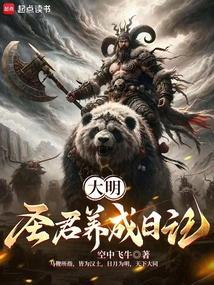 大明圣皇免费