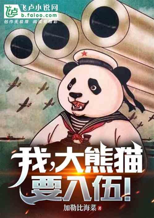 我宝大熊猫