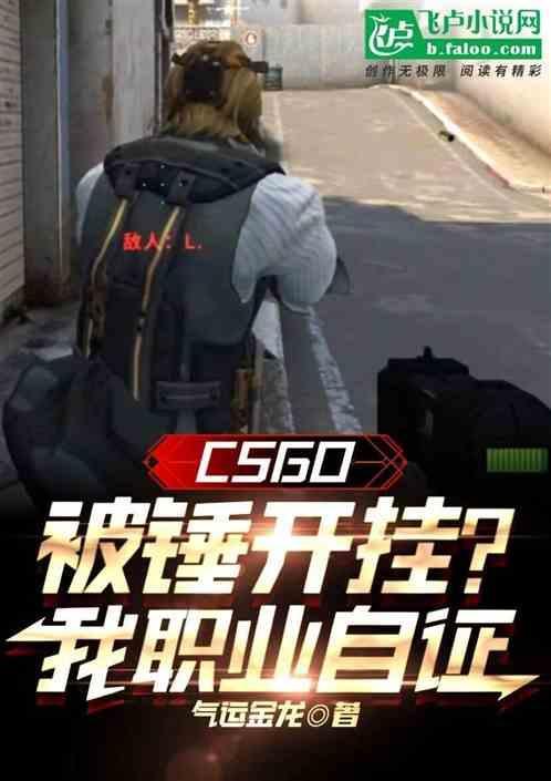 csgo被人开挂