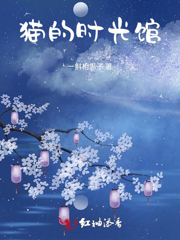 猫的岁月