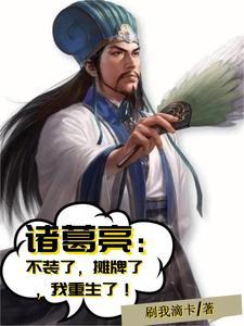重生诸葛亮之子