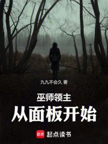 巫师3怎么使用领主牌