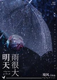 明天雨很大by境风讲的什么