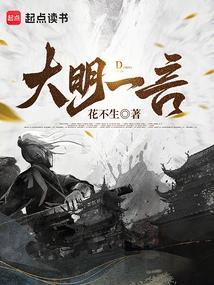 大明dj