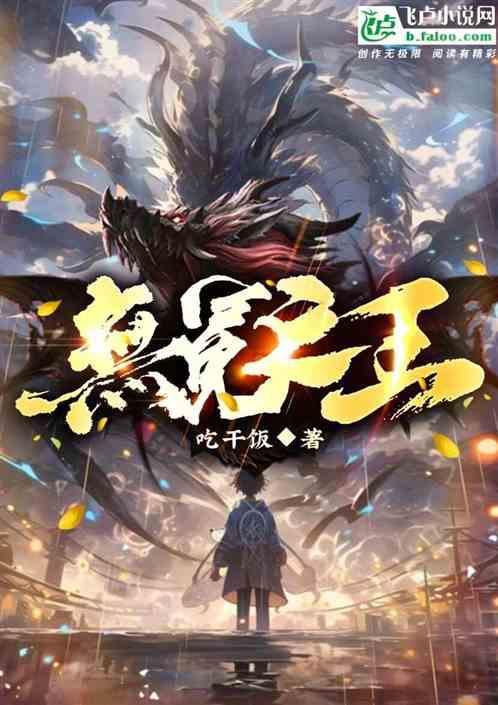 无冕之王荷兰