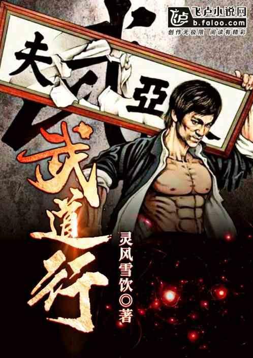 武道行纪六破解版