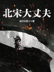 北宋大丈夫全本TXT电子书