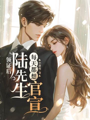 结婚后陆先生天天黎着我全文阅读