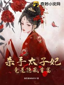 杀手四部曲太子纳妃