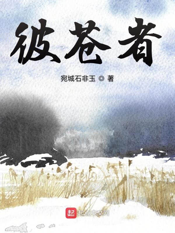 彼苍者天曷其有极什么意思