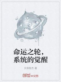 命运之轮是啥意思
