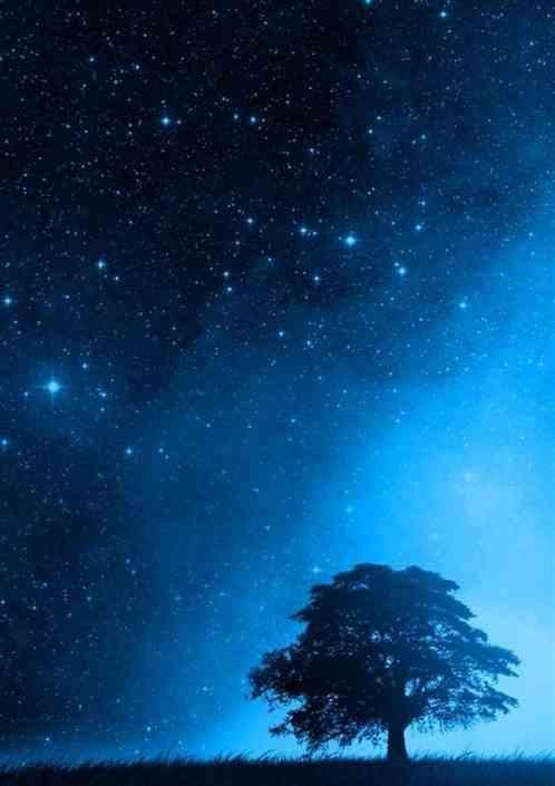 群星旅游星球有什么用
