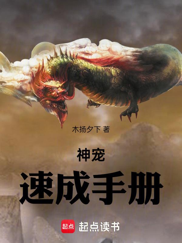 神宠高爆版攻略