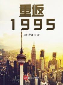 重返1995陈元生全文免费阅读
