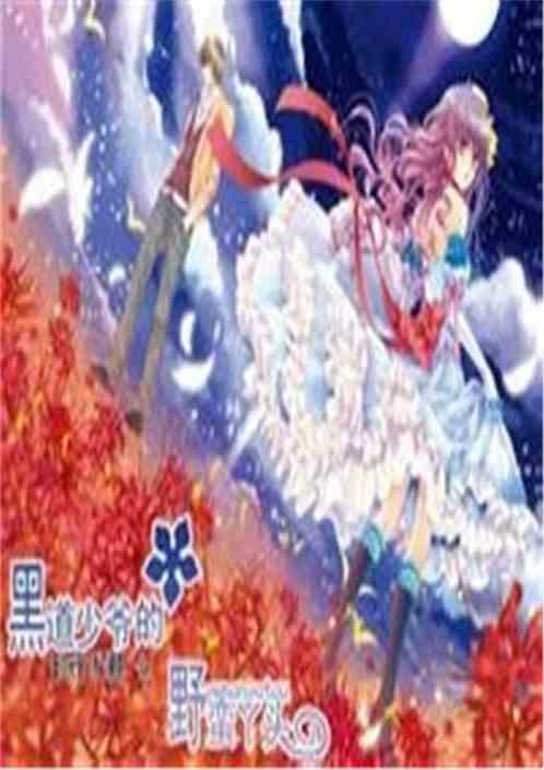 霸道少爷拽丫头